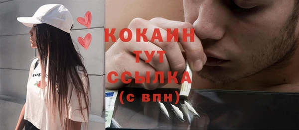 сатива Абинск