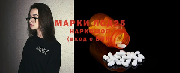 сатива Абинск