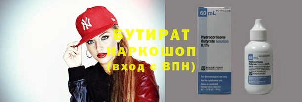 сатива Абинск