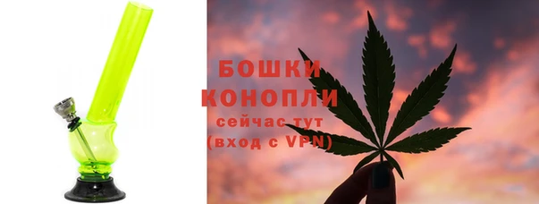 сатива Абинск