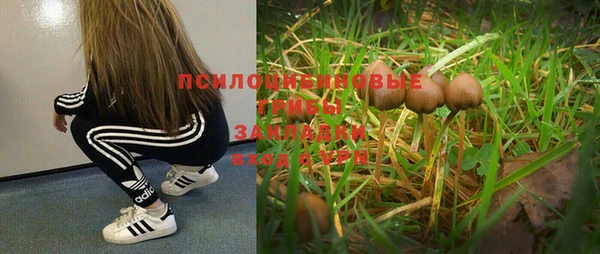 каннабис Абдулино