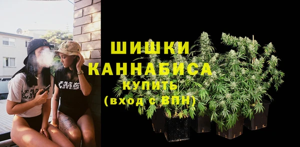 сатива Абинск