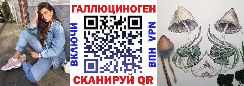 Псилоцибиновые грибы Psilocybe  где можно купить наркотик  Красный Сулин 